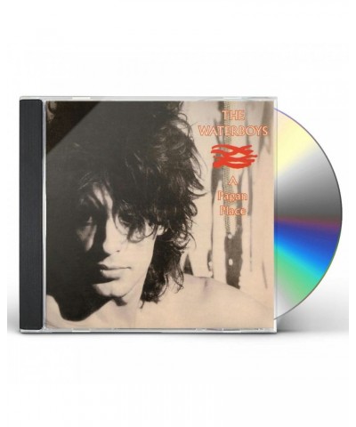 The Waterboys Pagan Place CD $3.21 CD