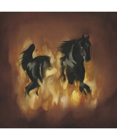 The Besnard Lakes ARE THE DARK HORSE Vinyl Record $4.74 Vinyl